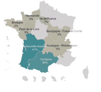 Schéma pourcentage diplômés en France. 41% de nos diplômés sont en activité en Nouvelle-Aquitaine et 36 % en Occitanie. 
